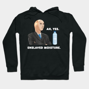 Ah Yes Enslaved Moisture Dank Meme Hoodie